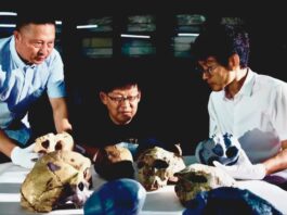 Ancient Skull Discovery in China