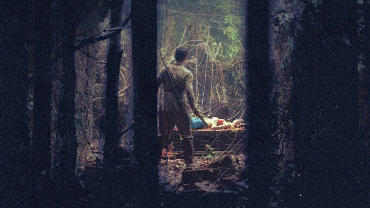 Tales from the Woods