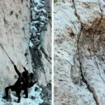 Dinosaur Footprints