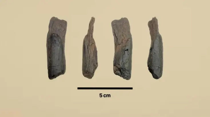 430,000-year-old wooden tools