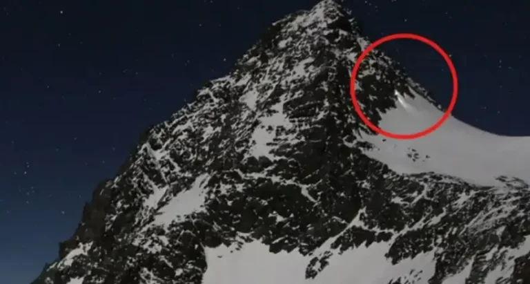 Grossglockner Death Case