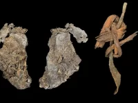 Oregon Ancient Sewing