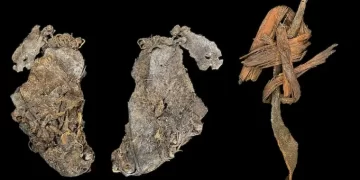 Oregon Ancient Sewing