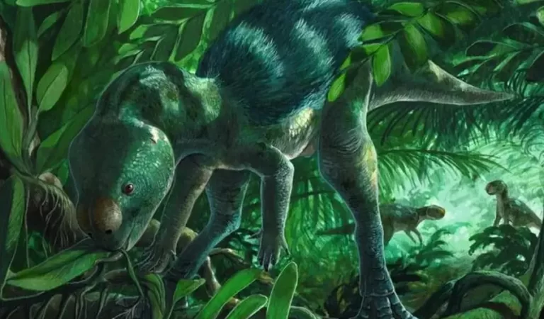 Spain New Dinosaur Species May Fill a 70-Million-Year Evolutionary Gap