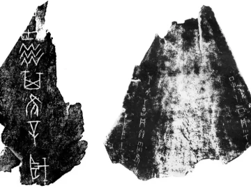 3,000-Year-Old Oracle Bones Reveal Ancient