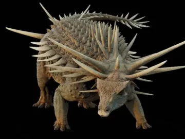 Oldest Ankylosaurus Fossil Discovered