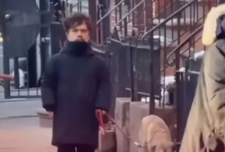 Peter Dinklage New York sighting surprises fans after quiet life
