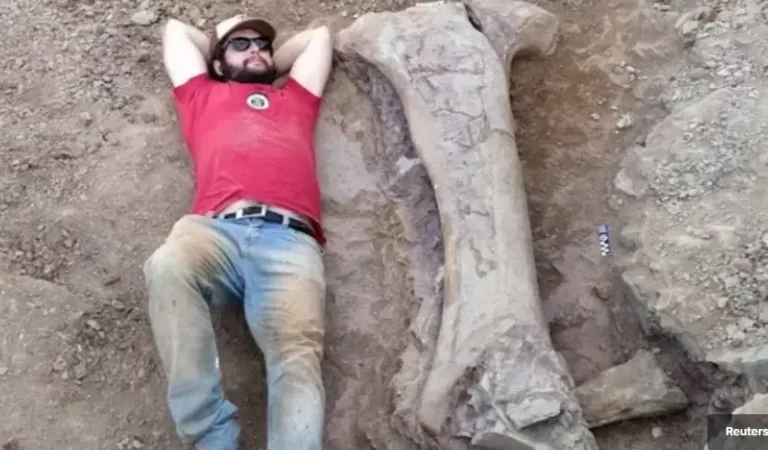 New Dinosaur Species Brazil: Scientists Reveal a Giant Prehistoric Find