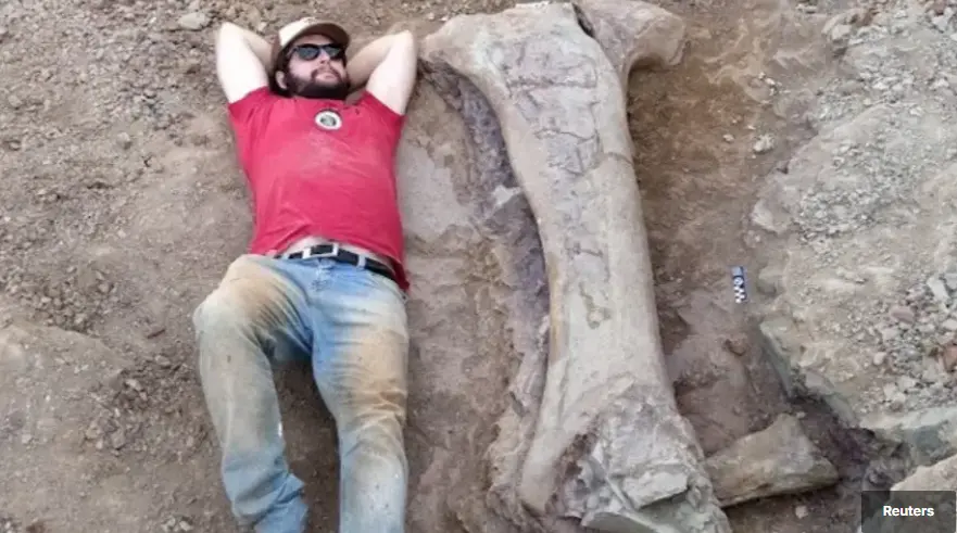 New Dinosaur Species Brazil: Scientists Reveal a Giant Prehistoric Find