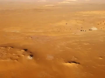 Prehistoric Sahara Cemetery