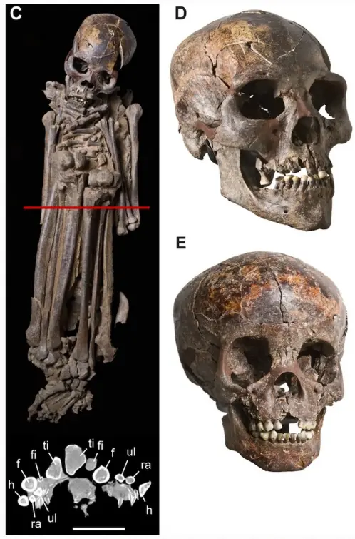 Prehistoric Sahara Cemetery