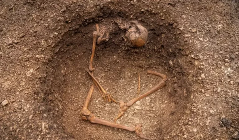 Seated Skeletons Discovery Stuns Archaeologists in France